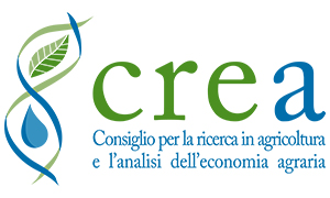 Sito web CREA